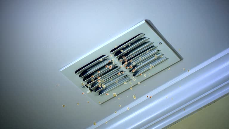 Best Air Duct Sanitizing Services  in Brandon, MS