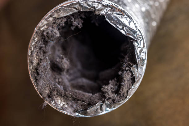 Best Ductwork Cleaning Services  in Brandon, MS